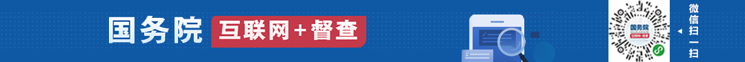 國務院互聯網+督查