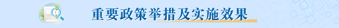 重要政策舉措及實施效果